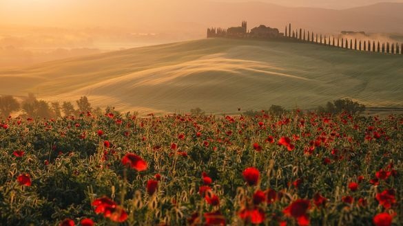 Springtime Sips: Expert Picks for Europe's Most Beautiful Vineyards to Visit This Season | News