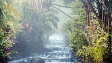 Tabacón unveils 'sensory luxury', a nature-led approach to wellness in Costa Rica | News