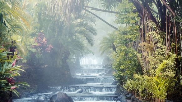 Tabacón unveils 'sensory luxury', a nature-led approach to wellness in Costa Rica | News