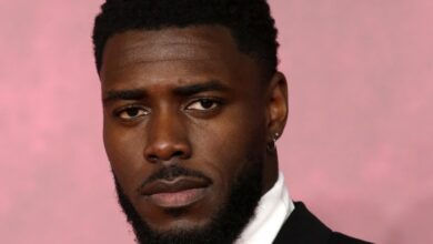 Tega Alexander as Lord Anderson's son