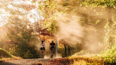 Tennessee Tourism Expands “Bike Tennessee” Program with 37 New Gravel Routes | News