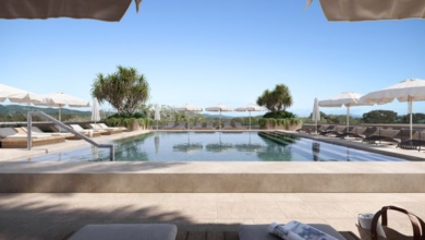 The Bonobo van Raes will open in June, bookings are now open | News