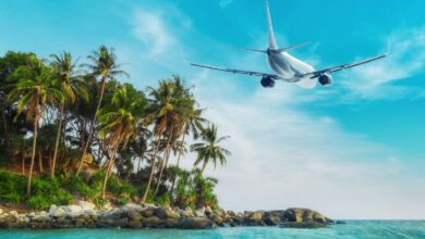 This Airline Cuts Fares By 50% To Boost Global Travel Demand