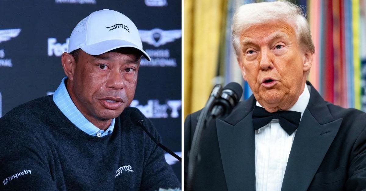 Tiger Woods was 'in discussions with President Trump' after a car accident