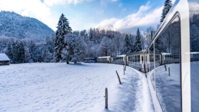 Travelsphere launches new guided trips | News