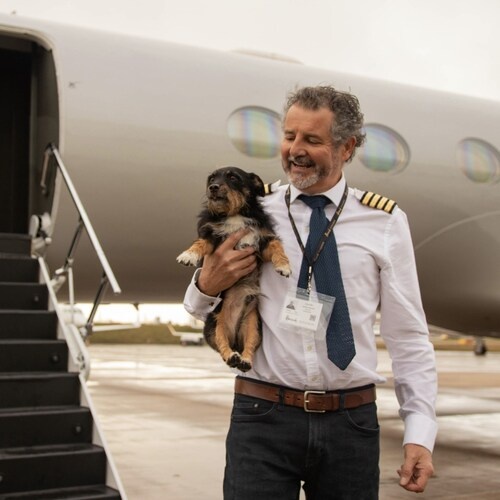 Vicuna Air Expands US Cabin Pet Travel Network with New Routes | News