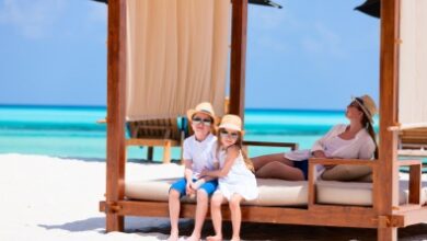 WK Management Consulting GmbH acquires the Little Guest brand | News