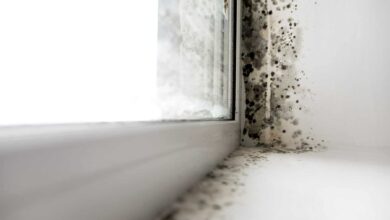 where does mold grow in a house