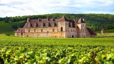 Which region in France is the best for a holiday? | News