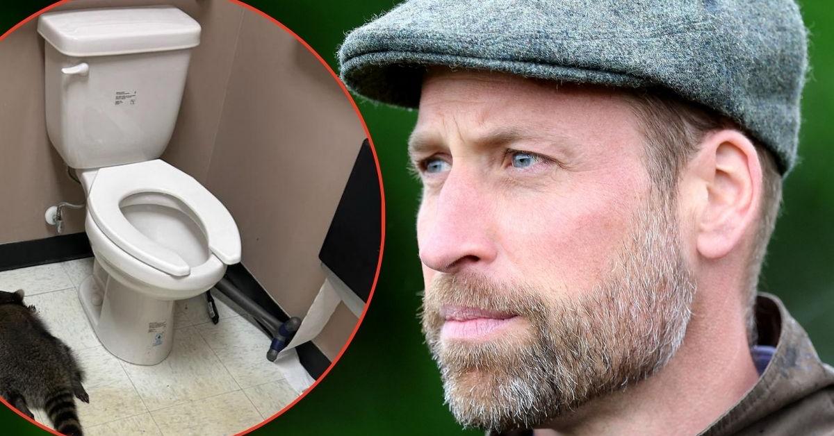 William 'desperately looking for embarrassing photo' deleted from the internet