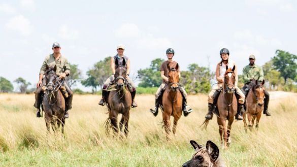 A new direction for the Okavango Delta: Okavango Horse Safaris launches artist-led retreats | News