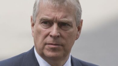 Andrew Windsor accused of 'kicking his own dog'
