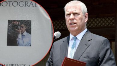 Andrew Windsor has dismissed Nepo Baby's 'Career' effort