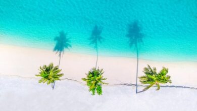 BA American Express® cardholders can now use their Companion Voucher when booking with BA Holidays | News