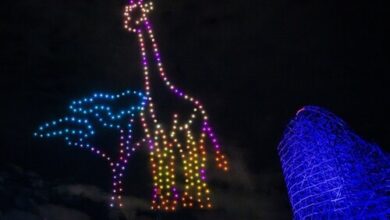 BUSCH GARDENS RAISES THE HEAT THIS SUMMER WITH BRAND NEW ENTERTAINMENT, DRONE SHOWS | News
