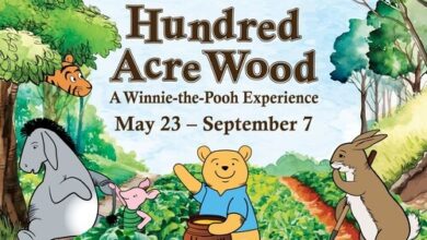 Boston Children's Museum Opens Hundred Acres of Forest: A Winnie-the-Pooh Experience | News