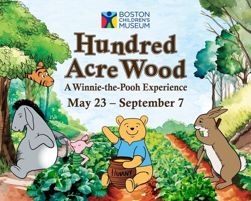 Boston Children's Museum Opens Hundred Acres of Forest: A Winnie-the-Pooh Experience | News