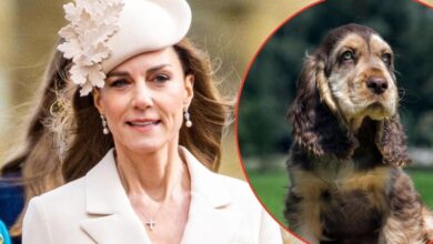 'Broody' Future Queen Catherine Recruits New 'Comfort Pet'