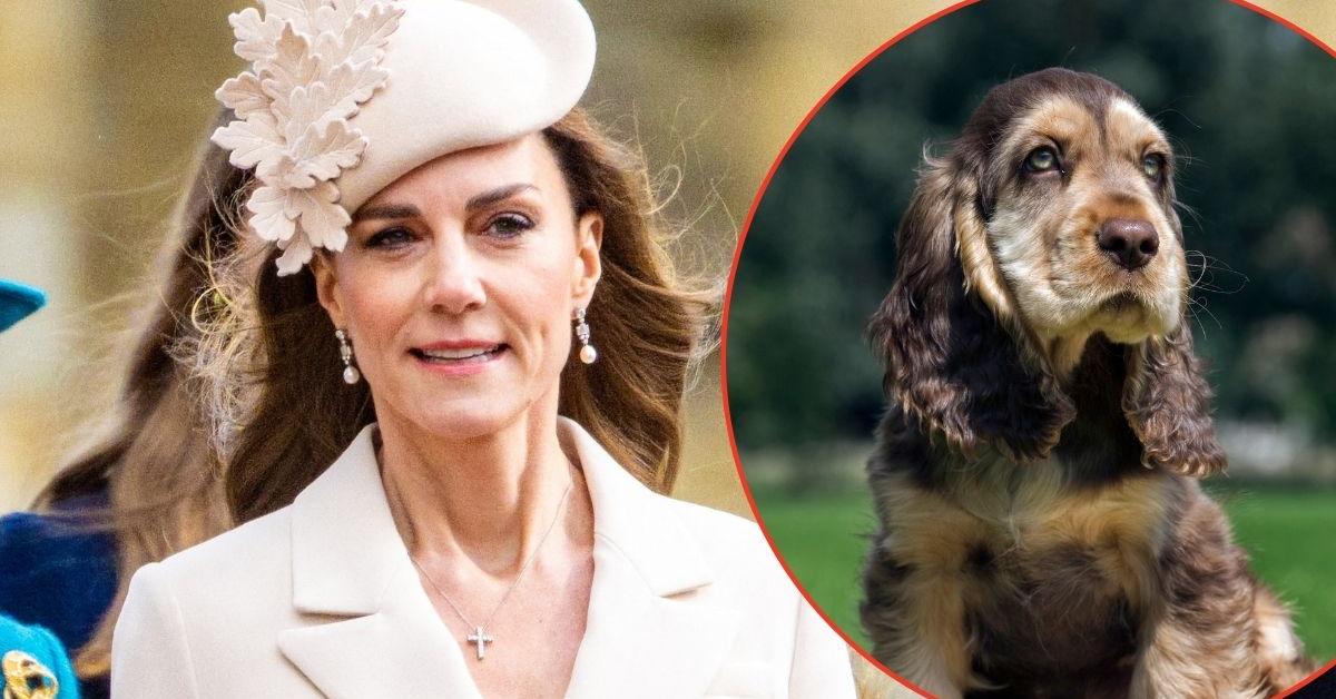 'Broody' Future Queen Catherine Recruits New 'Comfort Pet'