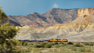 Cruise.co.uk unveils cruise and rail program | News