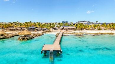 Delfins Beach Resort Bonaire launches summer offer with an average nightly rate of $250 and daily breakfast | News