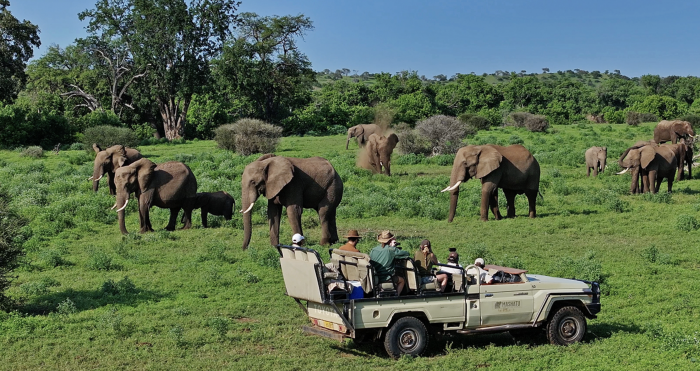 Dream safari season starts in Mashatu in Botswana | News