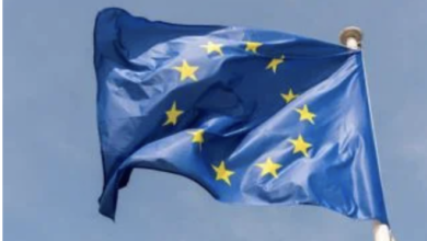EU air connectivity crushed by high costs and burdensome regulations | News