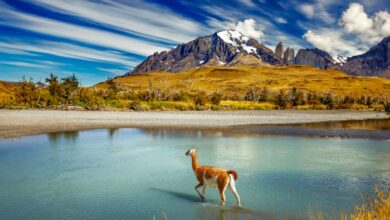 Explora: six years at the top of luxury expedition travel | Focus