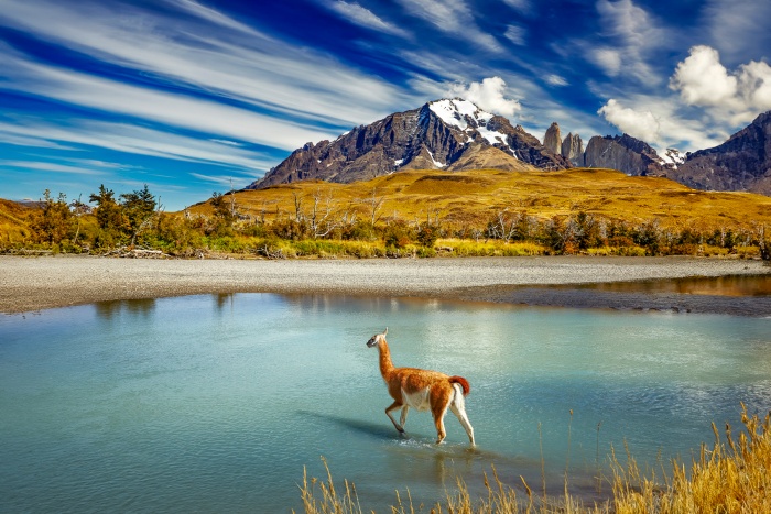 Explora: six years at the top of luxury expedition travel | Focus