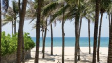 Four Seasons Resort The Nam Hai invites guests to cultivate intentional joy | News