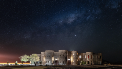 From desert to coast: six extraordinary ways to experience Namibia with O&L Leisure | News