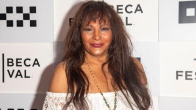 Hollywood star made shocking sex confession after DIY reveal