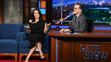 Julia Louis-Dreyfus Roasts Stephen Colbert as Selina Meyer from 'Veep'