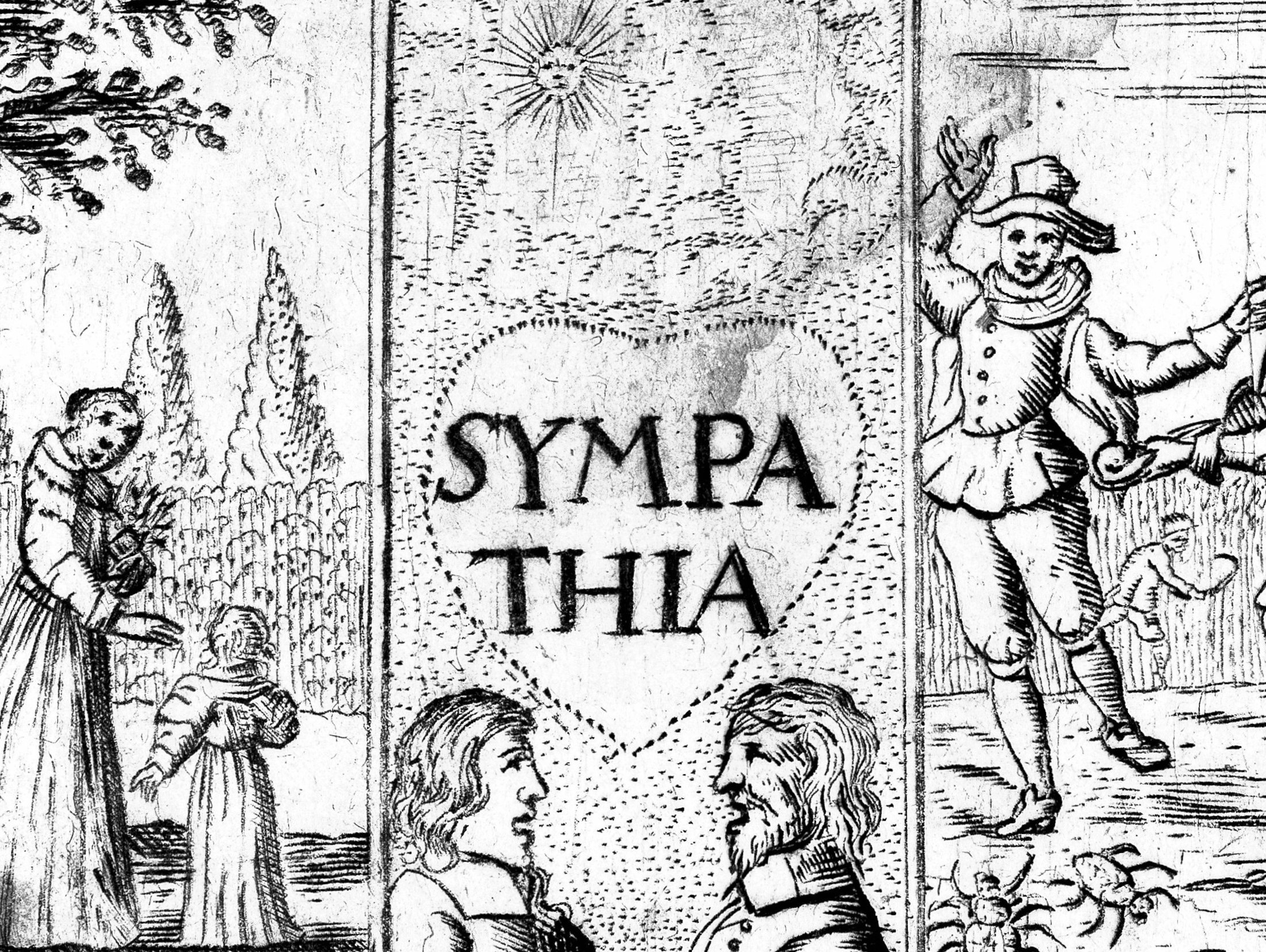 Kenelm Digby's *Sympathetic Powder* (edition 1669) — The Public Domain Review