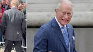 King Charles is hit by seagull droppings during his visit to Northern Ireland