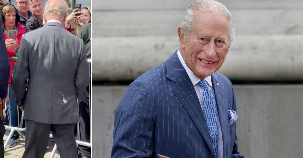 King Charles is hit by seagull droppings during his visit to Northern Ireland