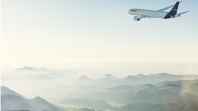 Lufthansa Group expands climate protection portfolio | News