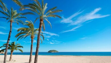 Magaluf's bold transformation into a new era of quality tourism and cultural experiences in Calvià | News