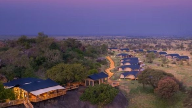 New luxury safari lodges throughout Africa | News
