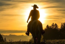 North America Travel Service launches '£250 for 250' | News
