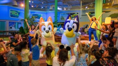 Now Open: Walt Disney World Summer Brings New Family Experiences | News