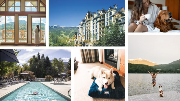 Pan Pacific Whistler Village Center raises the bar for pet-friendly travel | News
