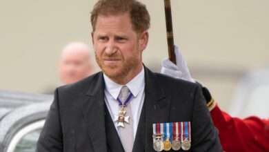Prince Harry's alleged British comeback plans have been revealed