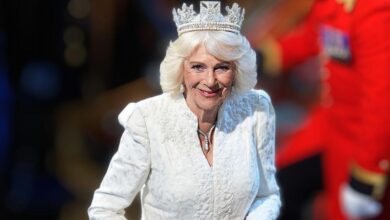 Queen Camilla has been transformed into the 'smiling assassin' of the royal family