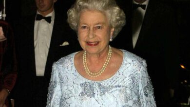 Queen Elizabeth's banned royal 'reality show' revealed