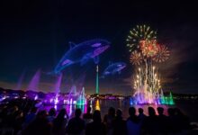 SeaWorld Parks Announces Spectacular Summer Lineup Coast-to-Coast in Orlando, San Diego and San Antonio | News