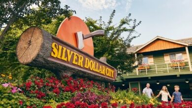 Silver Dollar City named America's #1 Theme Park for the fifth time by USA TODAY | News