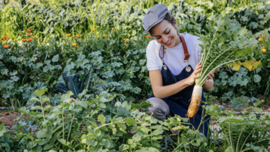 Six Senses joins the UNEP and UN Tourism “Recipe of Change” | News