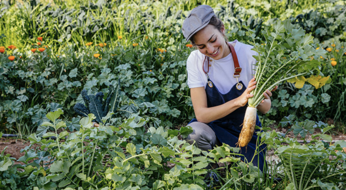 Six Senses joins the UNEP and UN Tourism “Recipe of Change” | News