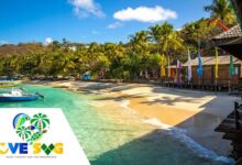 St. Vincent and the Grenadines launches 'LOVE SVG' | News